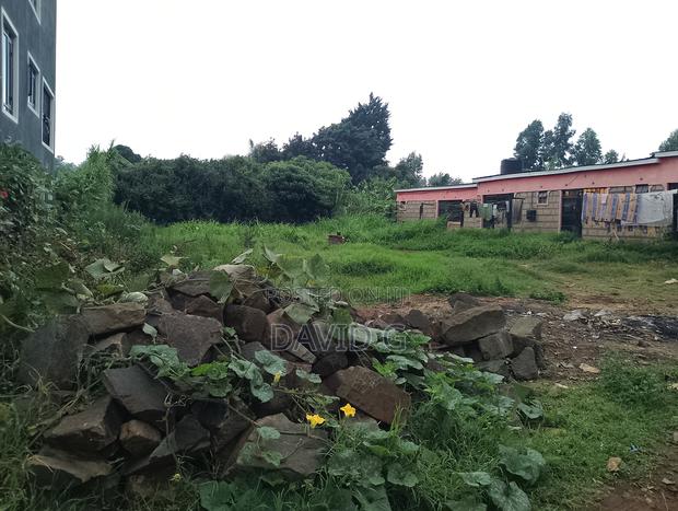 100 by 100land - thumbnail 4