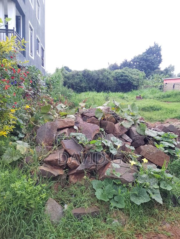 100 by 100land - thumbnail 5