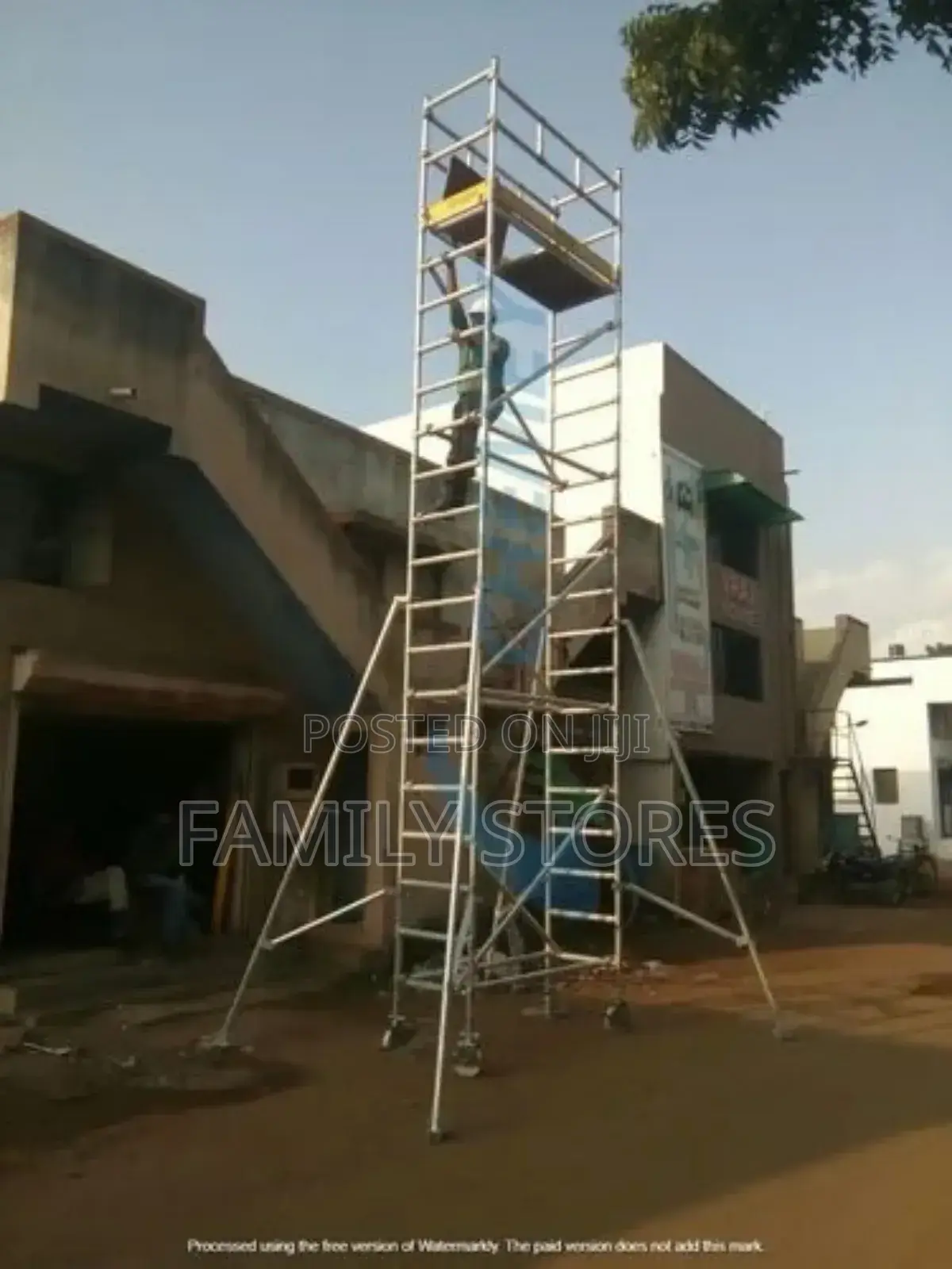 Stainless Construction Scaffolding Ladder