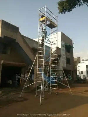 Stainless Construction Scaffolding Ladder