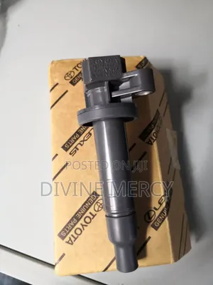Coil Plugs