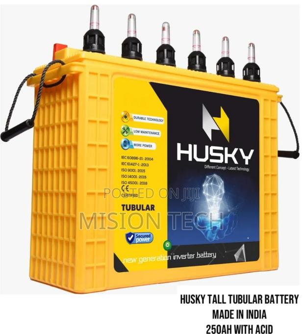 Husky Tall Tubular Battery - main view