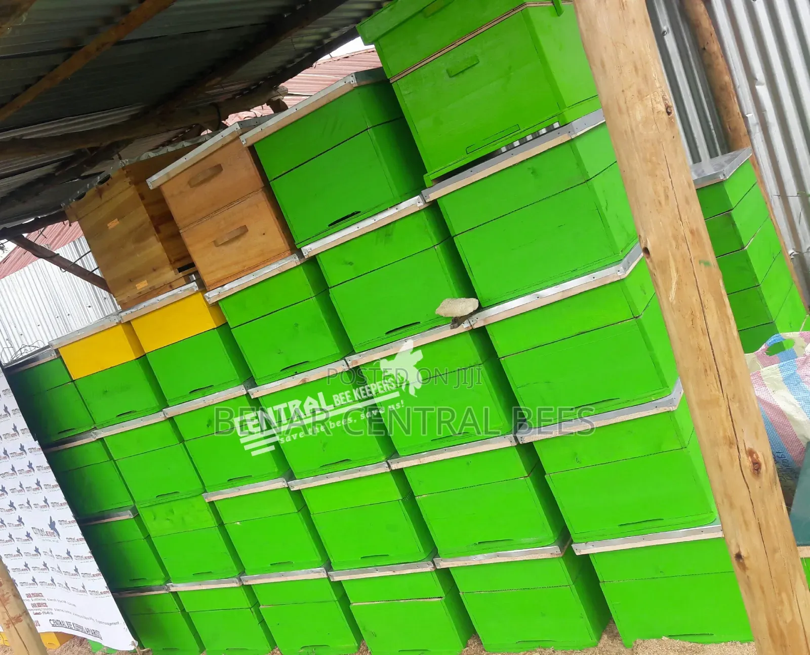 (Cypress Timber) Modern Langstroth Bee Hives Manufacturers