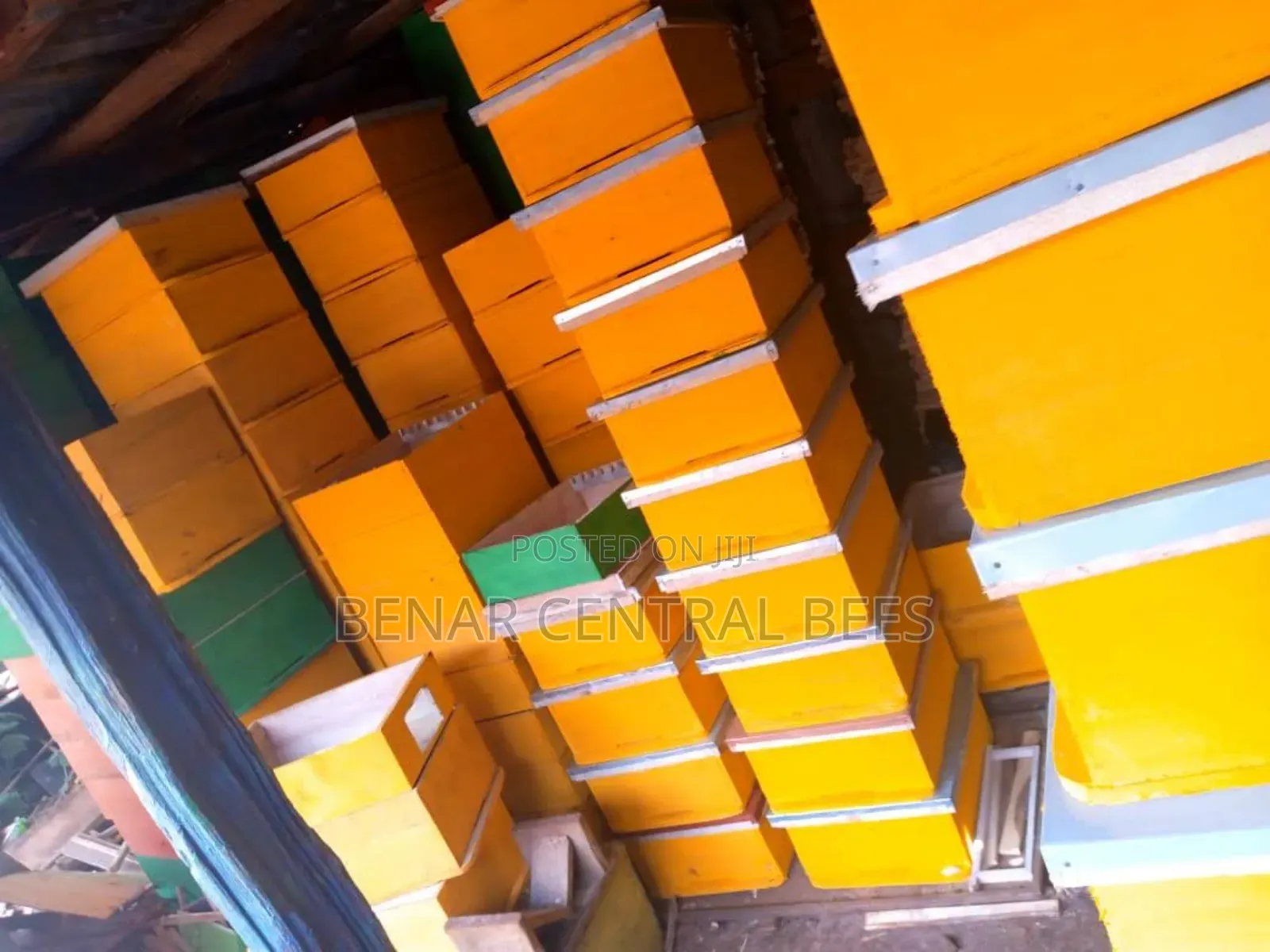 (Cypress Timber) Modern Langstroth Bee Hives Manufacturers