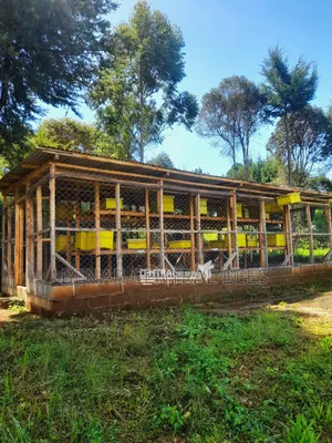 Modern Apiary/Apiaries
