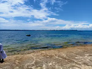 2.4 Acre Beach Plot for Sale in Shimoni