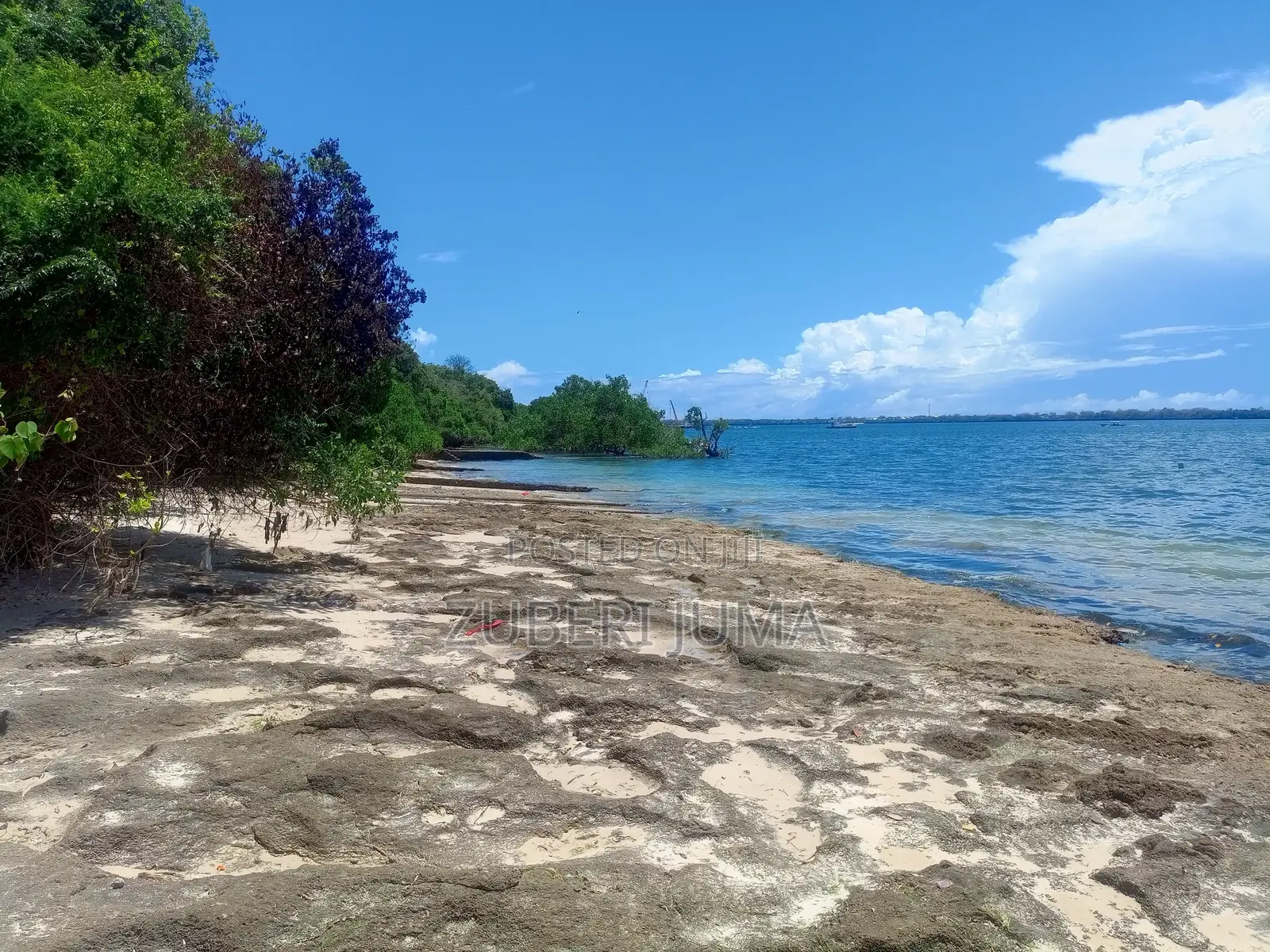 2.4 Acre Beach Plot for Sale in Shimoni
