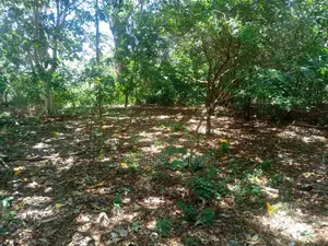 2.4 Acre Beach Plot for Sale in Shimoni