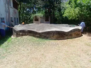 2.4 Acre Beach Plot for Sale in Shimoni