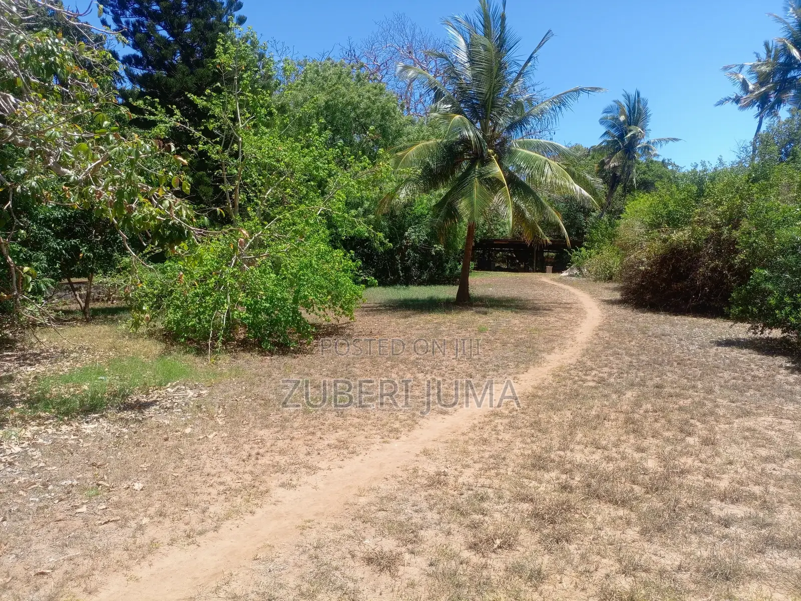 2.4 Acre Beach Plot for Sale in Shimoni