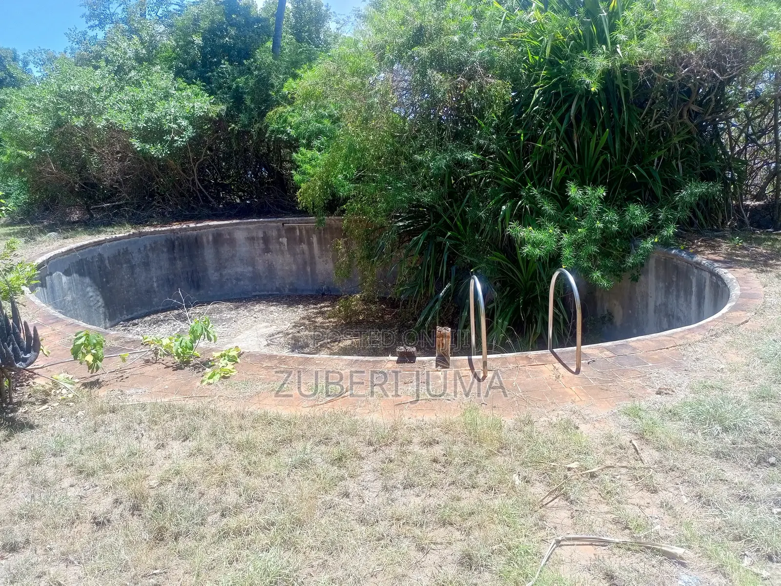 2.4 Acre Beach Plot for Sale in Shimoni