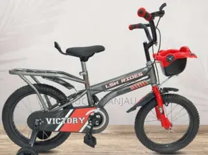 Victory Smart BMX 16" Bike