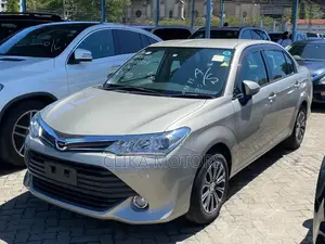 Toyota Axio 2018 Brown