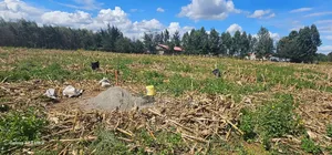 1⁄4 Plots for Sale Limo Hillside Eldoret