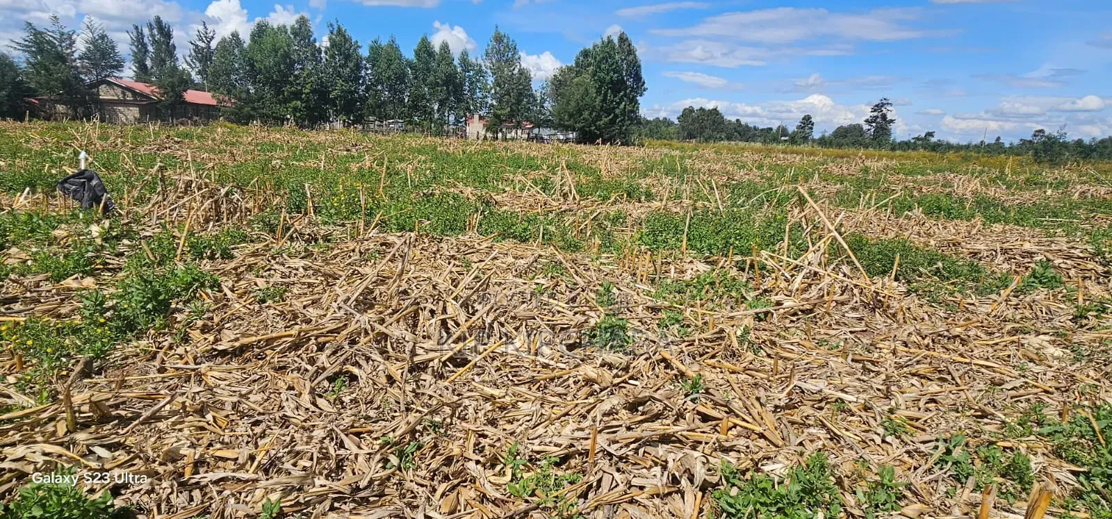 1⁄4 Plots for Sale Limo Hillside Eldoret