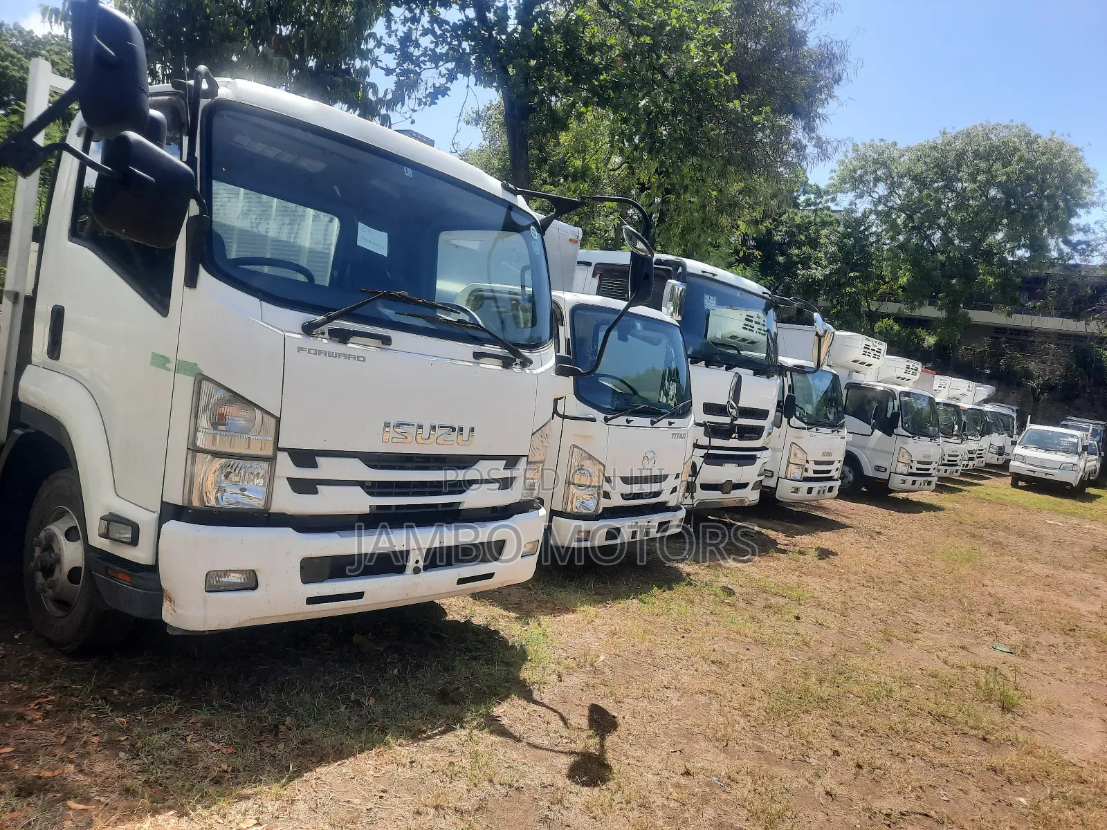 Isuzu Forward
