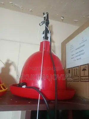 Automatic Malaysian Chicken Bell Drinkers