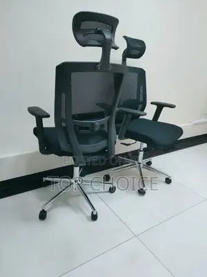 Executive Ergonomic Office Chair
