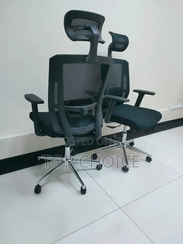 Executive Ergonomic Office Chair