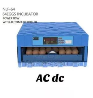 64 Eggs Incubator 80W.