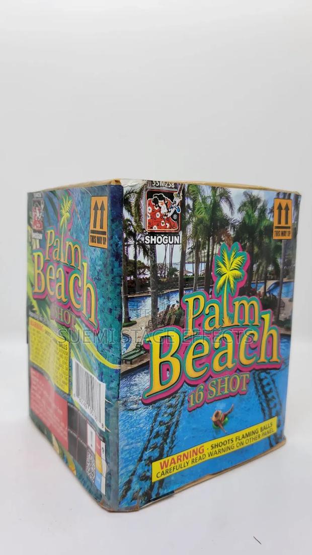 Christmas/New Year Palm Beach 16-Shot Medium Fireworks - thumbnail 4