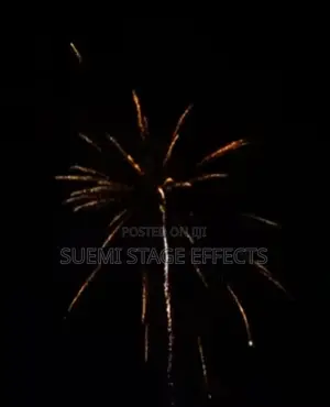 Christmas/New Year Palm Beach 16-Shot Medium Fireworks