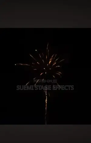 Christmas/New Year Palm Beach 16-Shot Medium Fireworks
