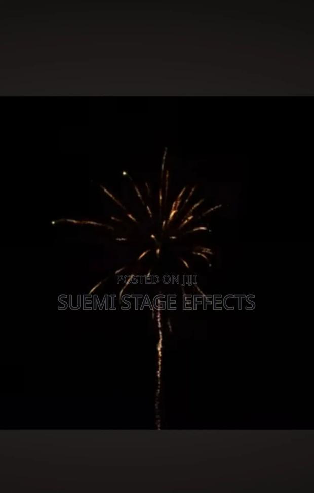 Christmas/New Year Palm Beach 16-Shot Medium Fireworks - thumbnail 5