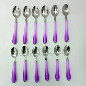 6 PCS Coloured Handle Stainless Steel Tablespoons