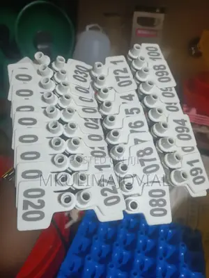 Shaped Ear Tags