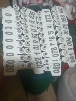 White Cow Ear Tags Numbered- Medium