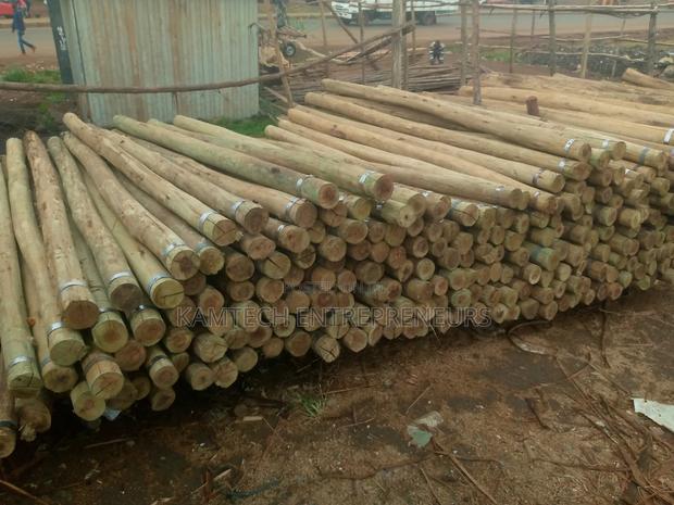 Cca Treated Fencing Posts - thumbnail 7