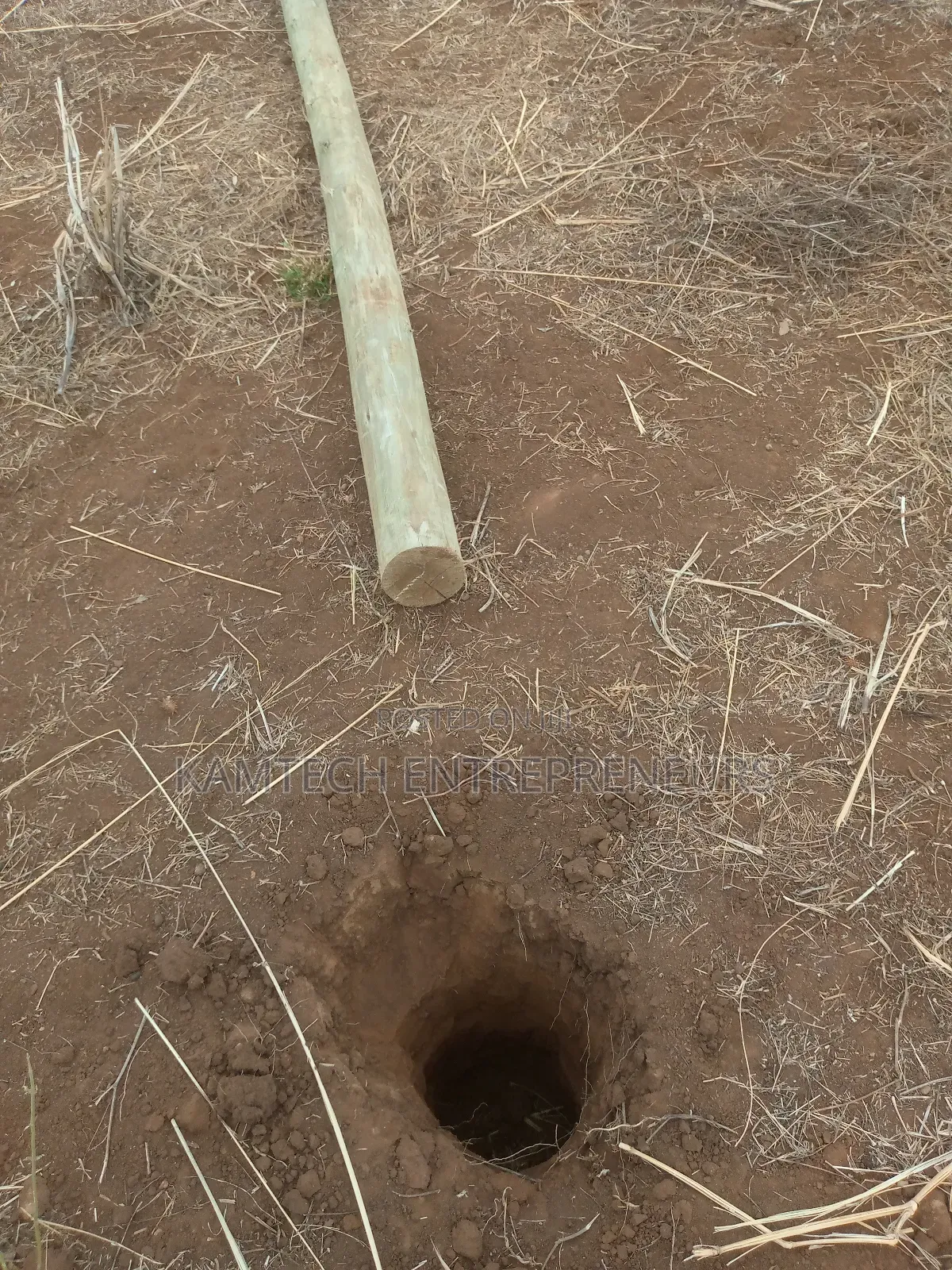 Cca Treated Fencing Posts