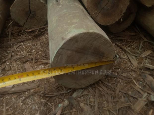 Cca Treated Fencing Posts - thumbnail 6