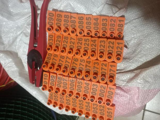 Slim Shaped Goats Ear Tags -100 PCS - main view