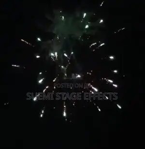 Champ Fireworks – Spark Joy, Light Up the Moment!