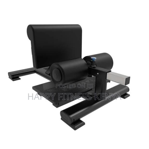 Commercial Sissy Squat - main view