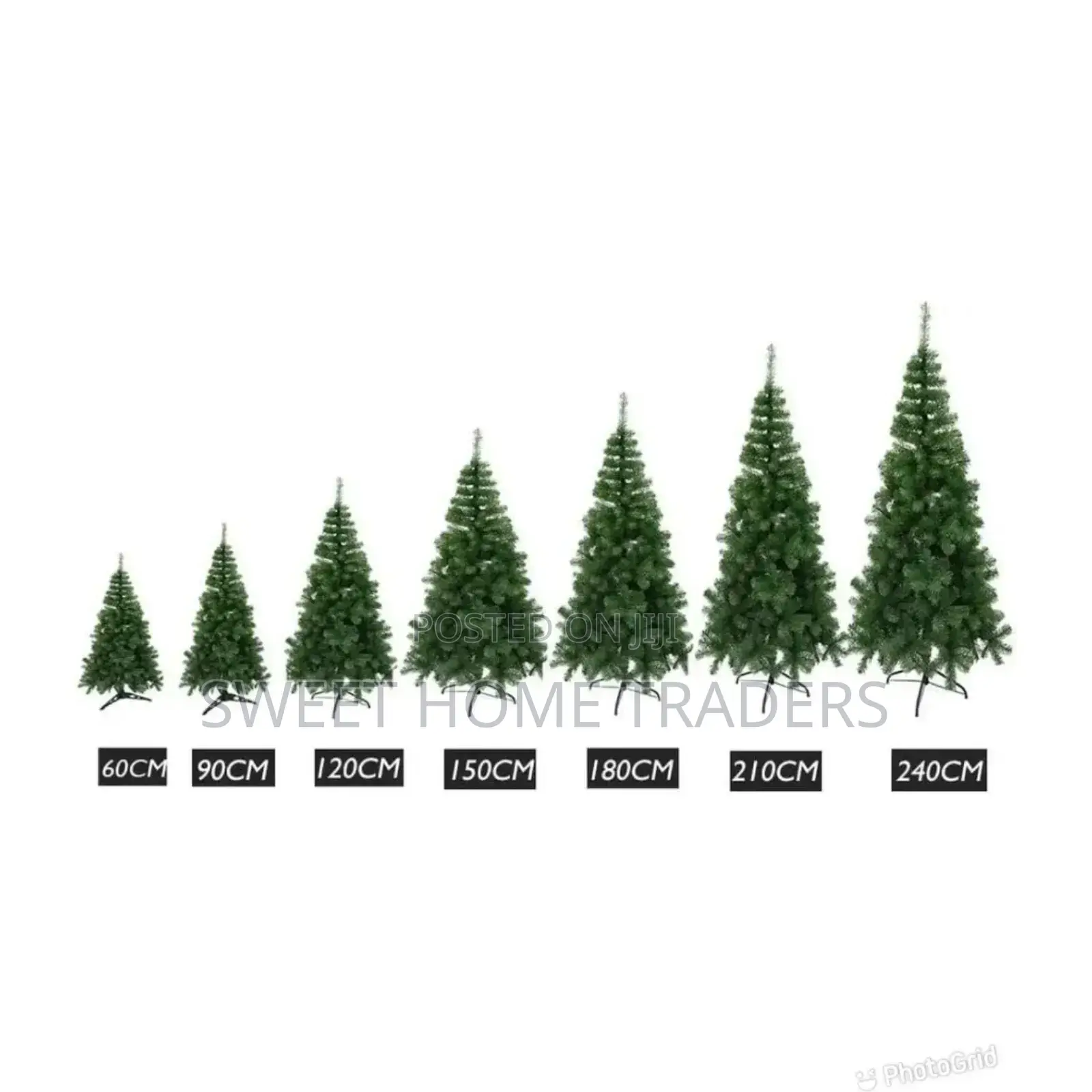 3 Feets Christmas Tree Cypress