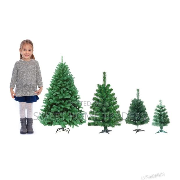 5 Feets Christmas Tree Cypress - main view