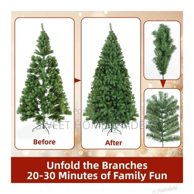 7 Feets Christmas Tree Cypress , - main view