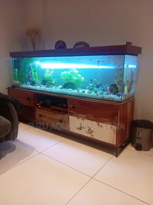 Aquarium With Stand Complete Package