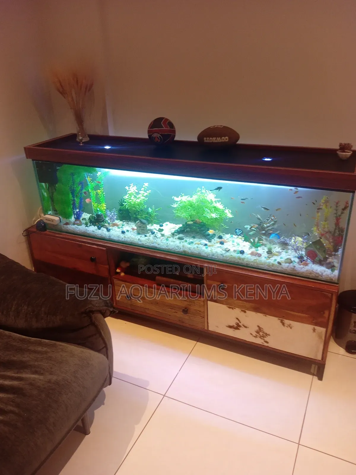 Striking Aquarium Complete With Everything