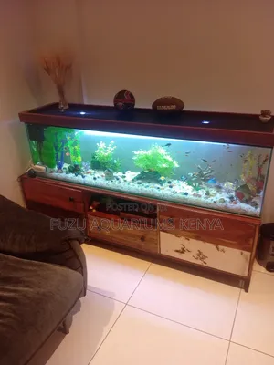 Striking Aquarium Complete With Everything