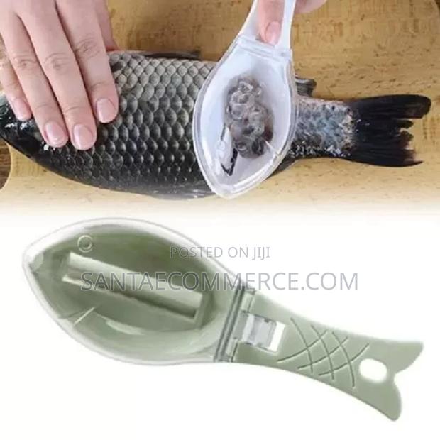 Fish Scale Scraper - main view