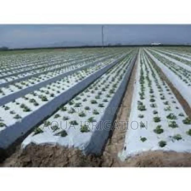 Enhancing Soil Health With Mulch Films