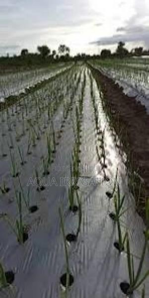 Innovative Mulch Paper for Crop Protection - thumbnail 2