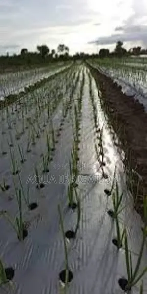 Innovative Mulch Paper for Crop Protection