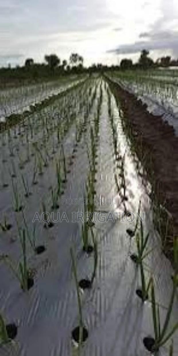 Innovative Mulch Paper for Crop Protection - main view