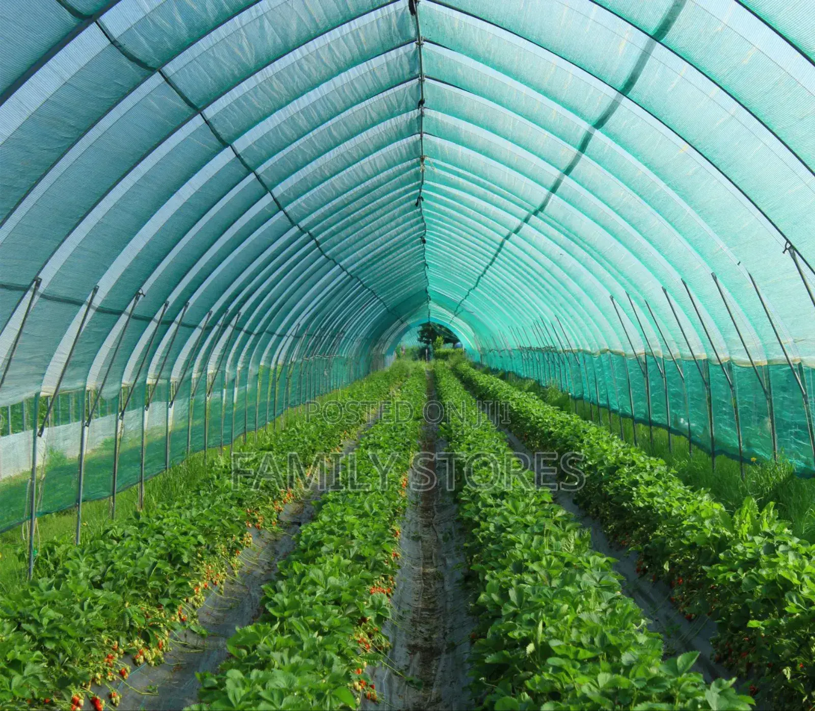 Agriculture Shed Nets