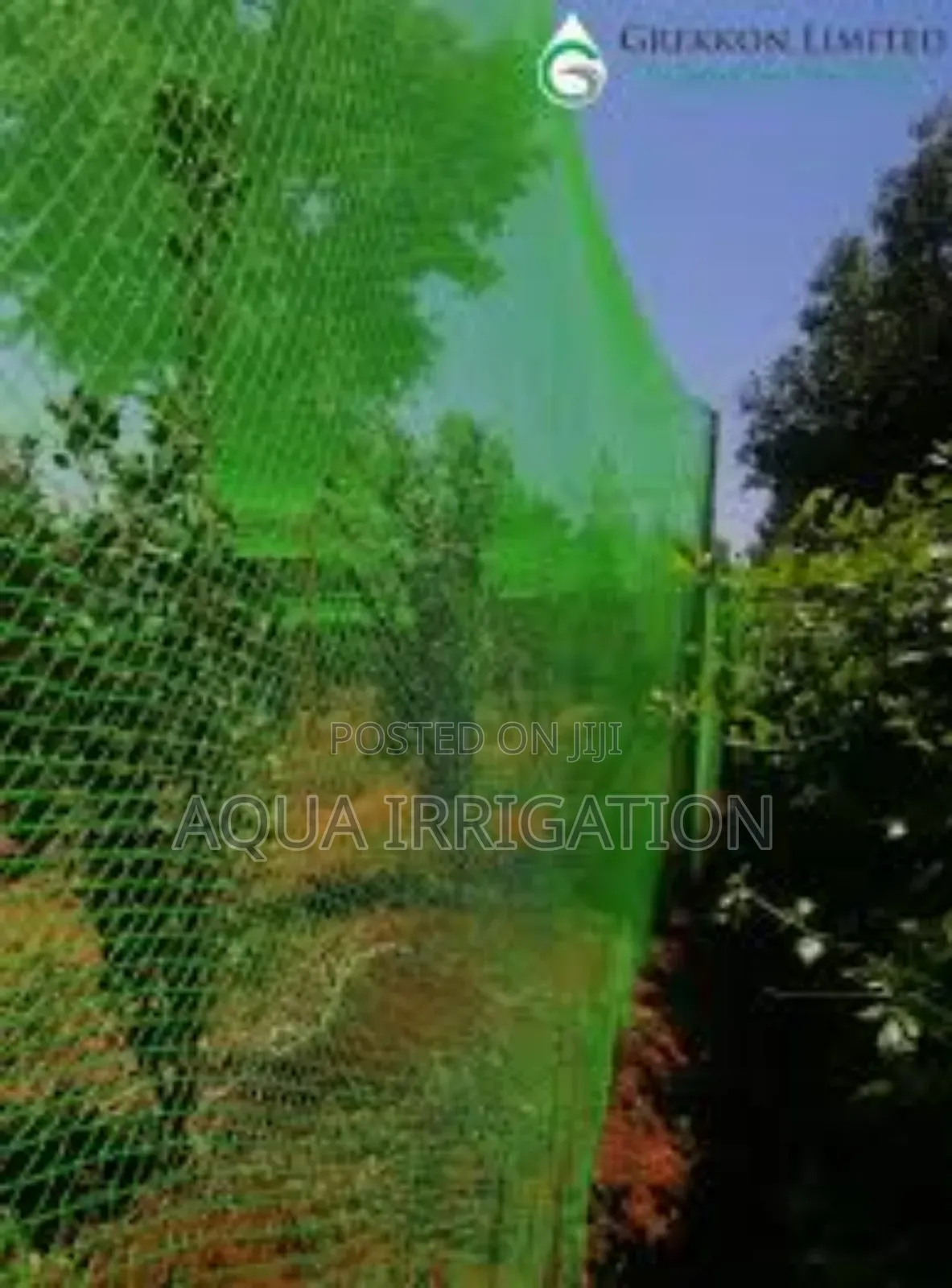Protect Your Garden With Durable Bird Nets